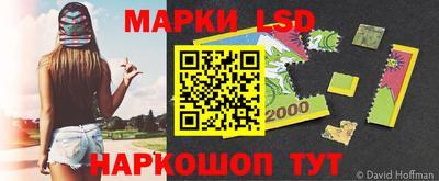 тгк Бийск