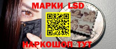 тгк Бийск