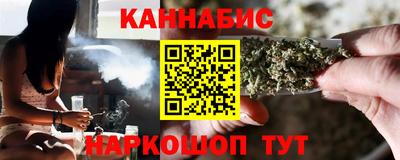 тгк Бийск