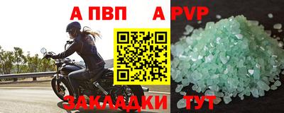тгк Бийск