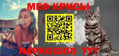тгк Бийск