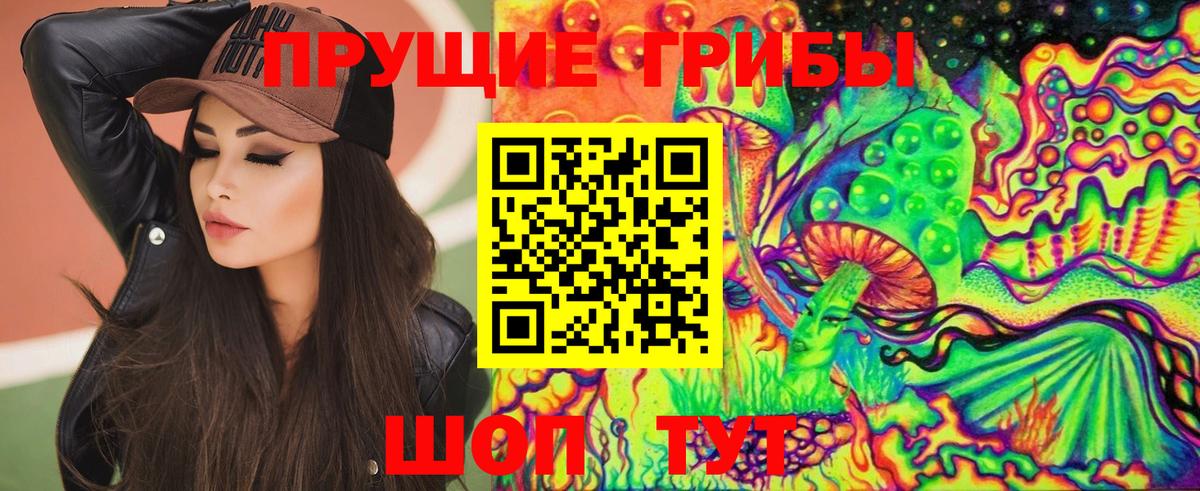 Галлюциногенные грибы MAGIC MUSHROOMS  Вход с VPN  Ивантеевка 